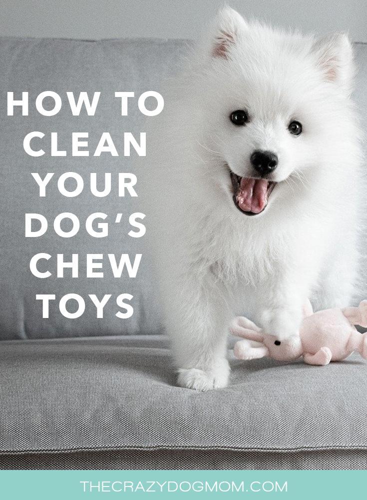 http://thecrazydogmom.com/cdn/shop/articles/how-to-clean-your-dogs-toys-397770.jpg?v=1588375753
