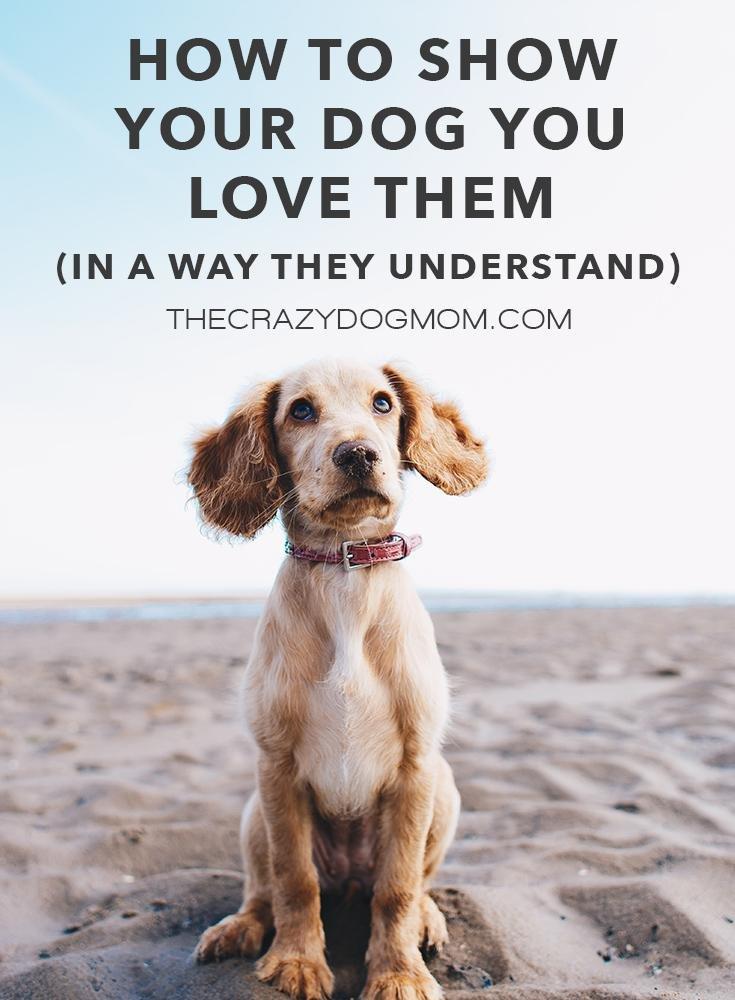 How to Show Your Dog You Love Them (In a Way They Understand)