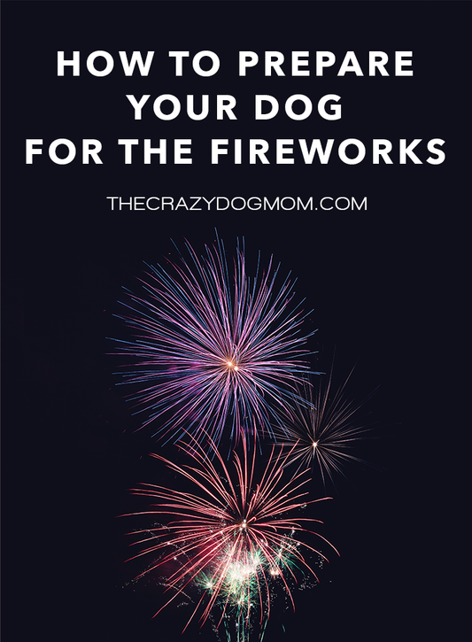 how to prepare your dog for the fireworks
