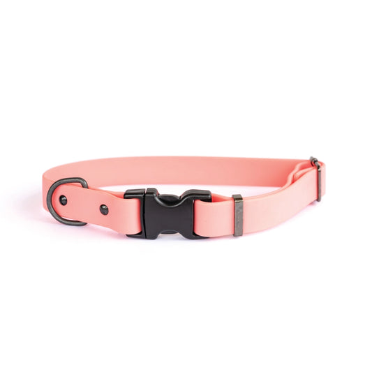 Isolated coral biothane dog collar with a black buckle