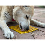 dog using the lick mat