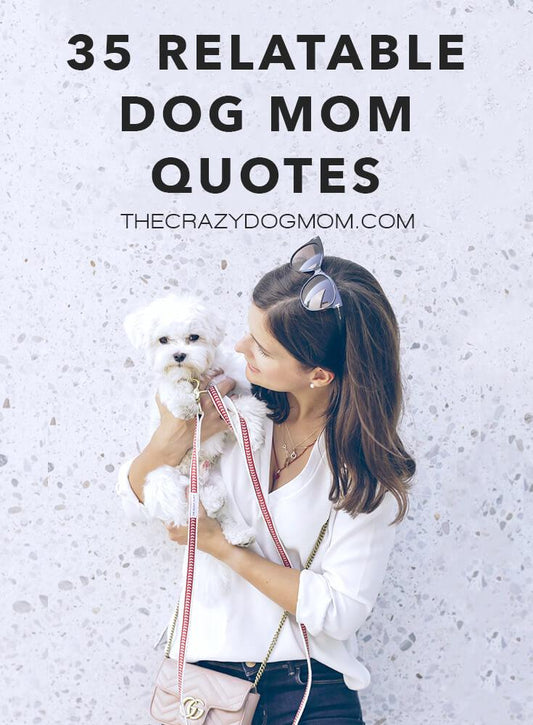 35 relatable dog mom quotes