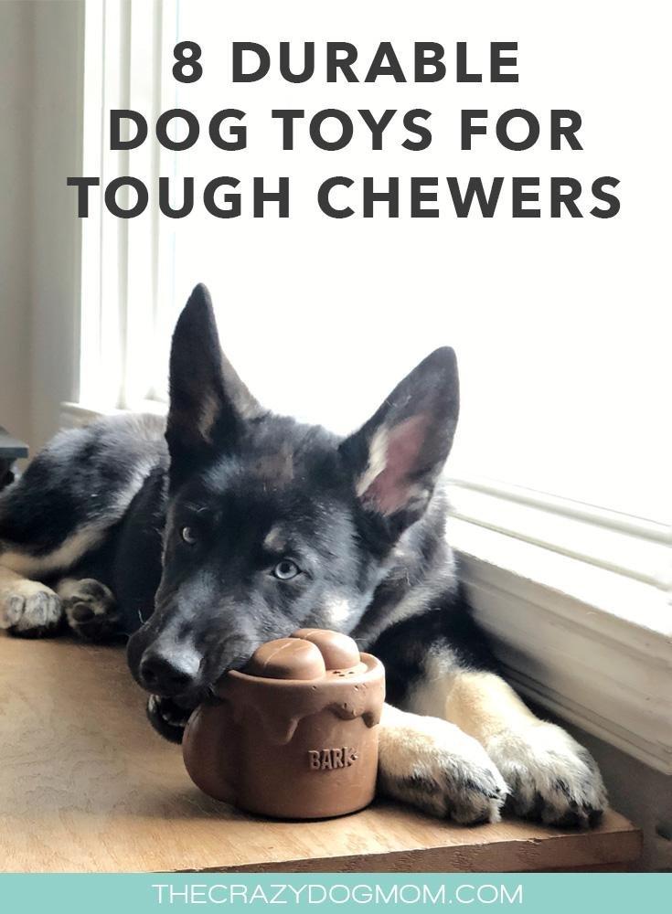 8 Durable Dog Toys for Tough Chewers