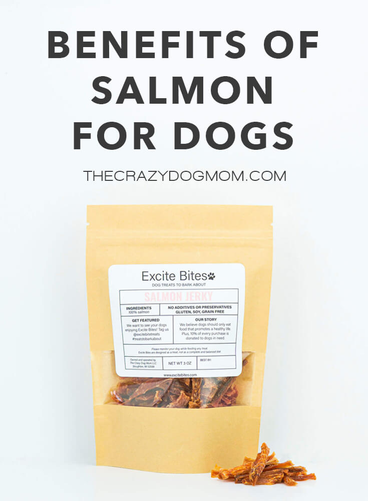 health benefits of feeding your dog salmon