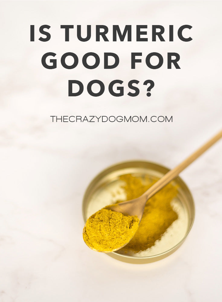 is turmeric good for dogs?