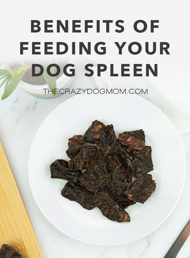 Benefits of Feeding Your Dog Spleen – The Crazy Dog Mom