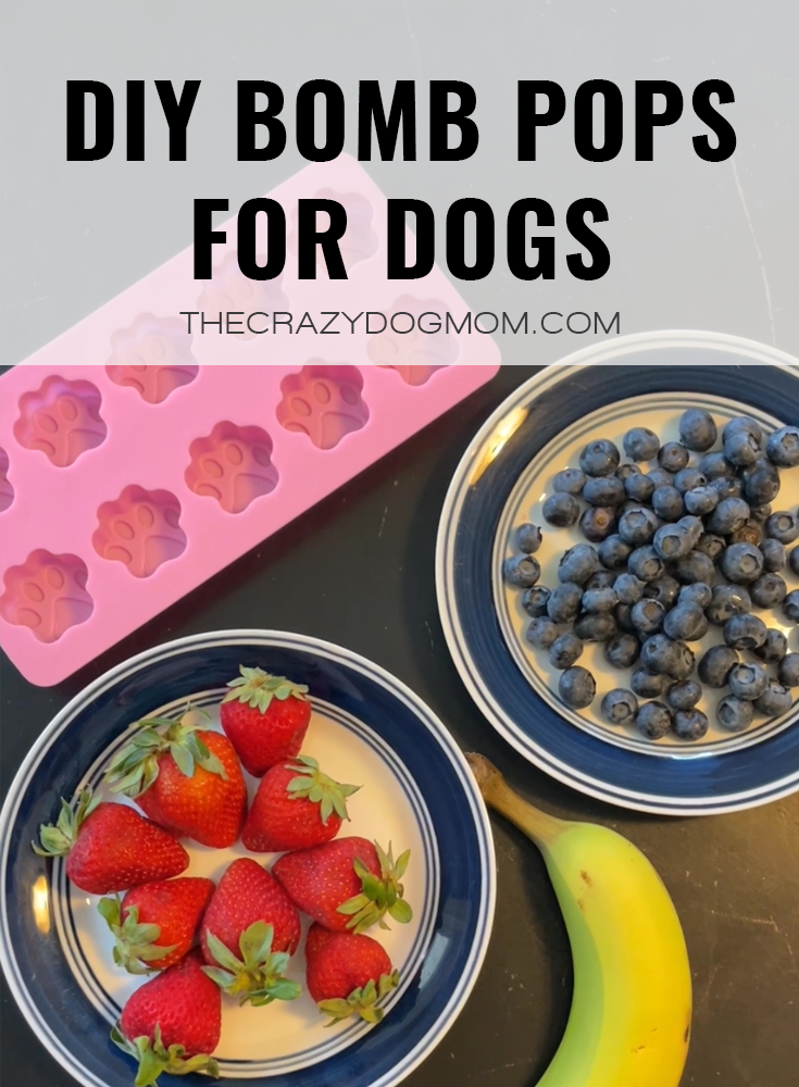 DIY Bomb Pops Recipe for Dogs