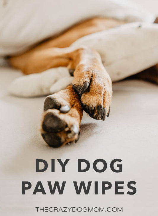 simple diy natural dog paw wipes recipe