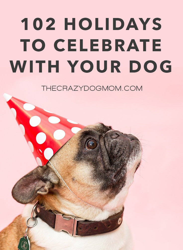 Holidays to celebrate with your dog in 2022