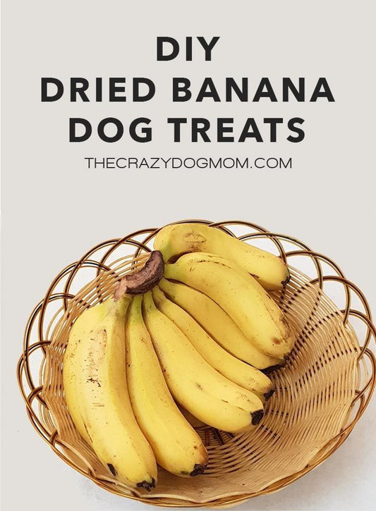 Dried Banana Dog Treat Recipe