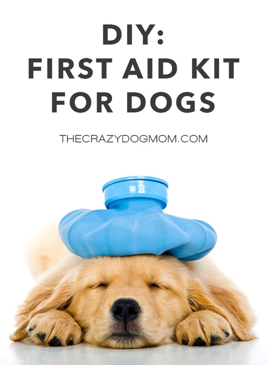 diy first aid kit for dogs