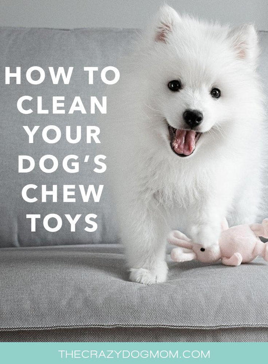 How to clean your dog's chew toys safely