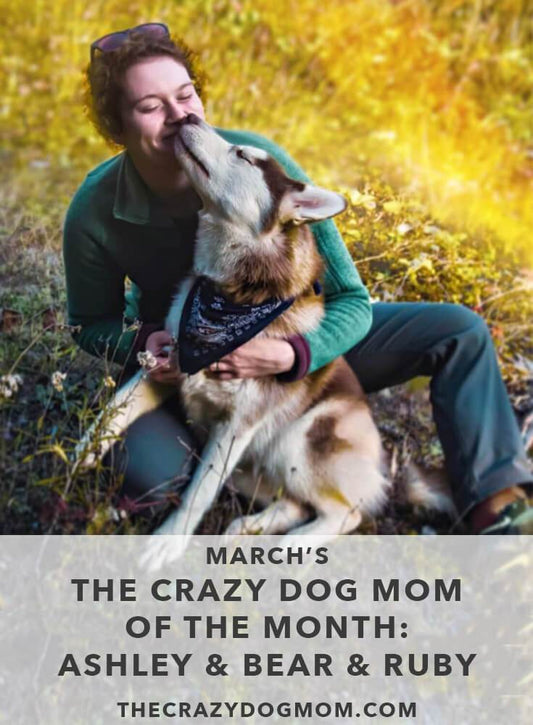 March's The Crazy Dog Mom of the Month: Ashley with Bear and Ruby