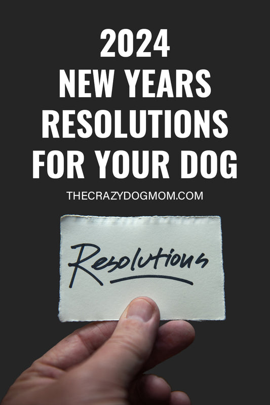 6 New Years Resolutions for You and Your Dog