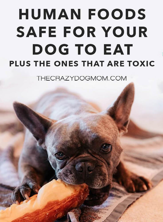 safe and toxic foods for dogs