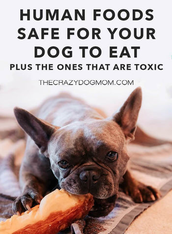 Safe and Toxic Food for Dogs – The Crazy Dog Mom