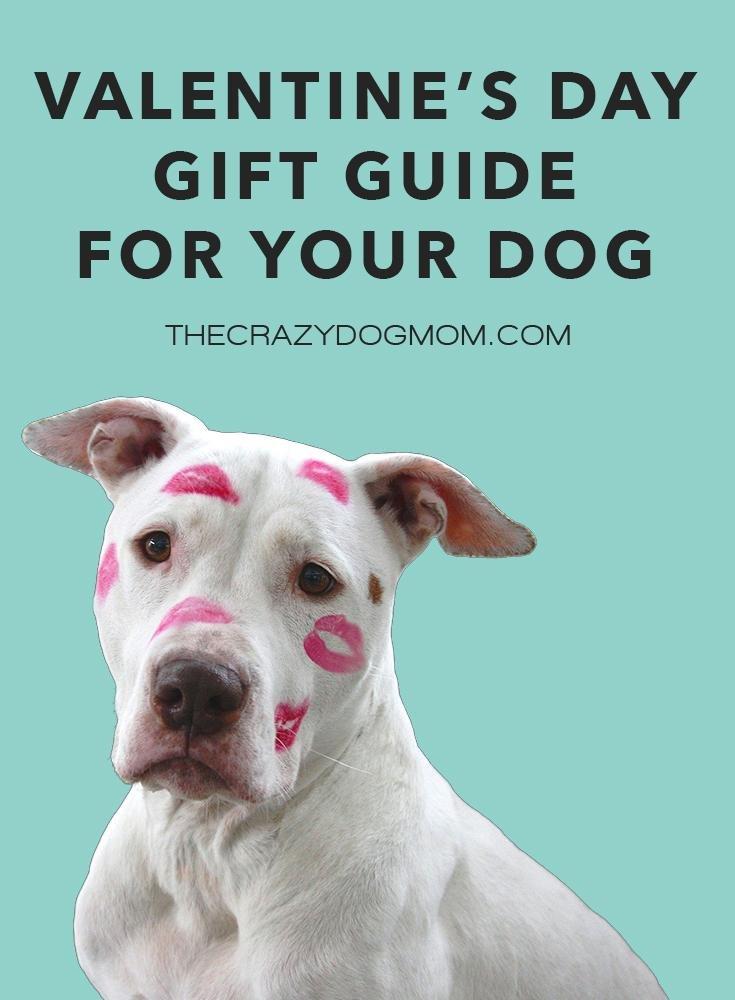 Valentine's Day Gift Guide for Your Dog