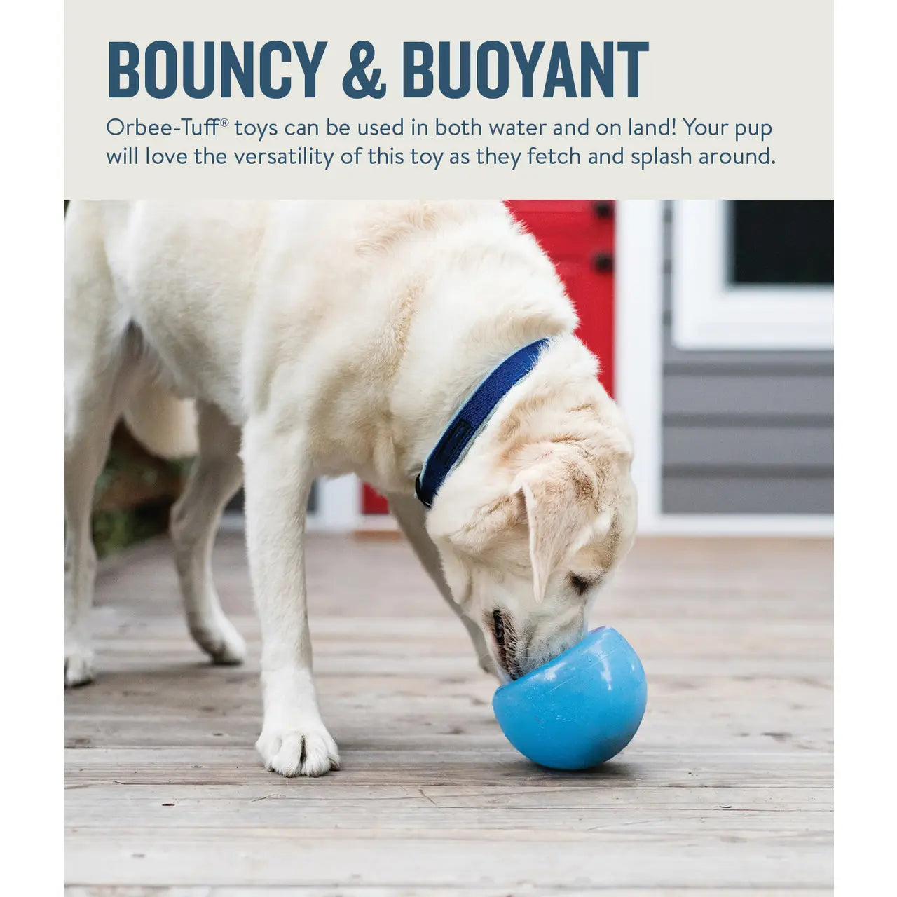 BOUNCY & BUOYANT Orbee-Tuff toys can be used in both water and on land! Your pup will love the versatility of this toy as they fetch and splash around.