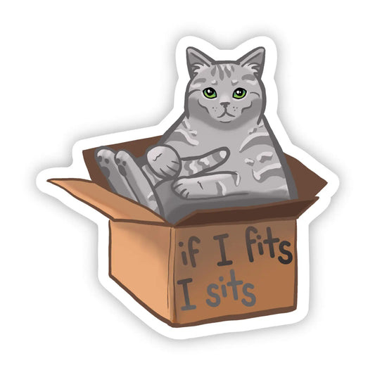 A grey striped tabby cat sitting in a cardboard box that is labeles "If I fits I sits"