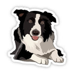 Isolated Border Collie vinyl sticker