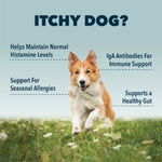 Dog running through a field and there is text that says "ITCHY DOG? Helps Maintain Normal Histamine Levels IgA Antibodies For Immune Support Support For Seasonal Allergies Supports a Healthy Gut