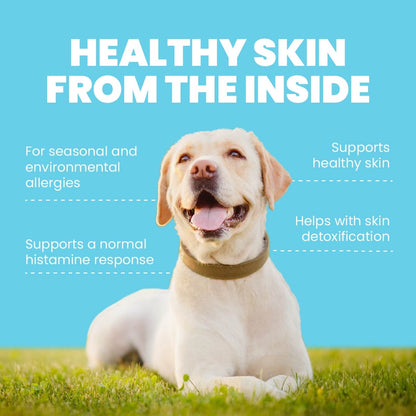 HEALTHY SKIN FROM THE INSIDE For seasonal and environmental allergies Supports healthy skin Supports a normal histamine response Helps with skin detoxification