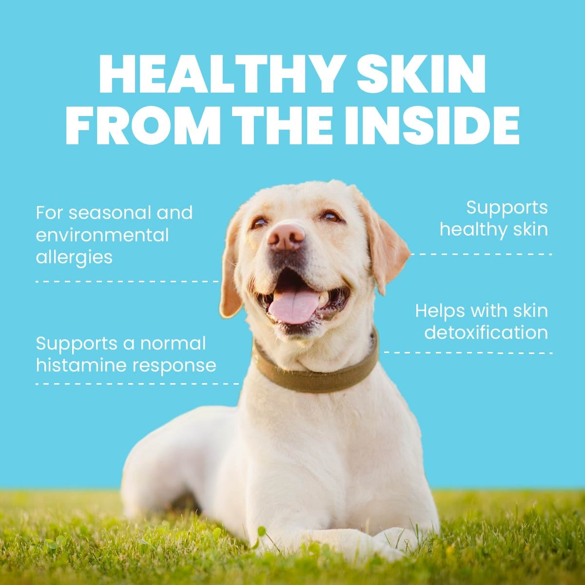 HEALTHY SKIN FROM THE INSIDE For seasonal and environmental allergies Supports healthy skin Supports a normal histamine response Helps with skin detoxification