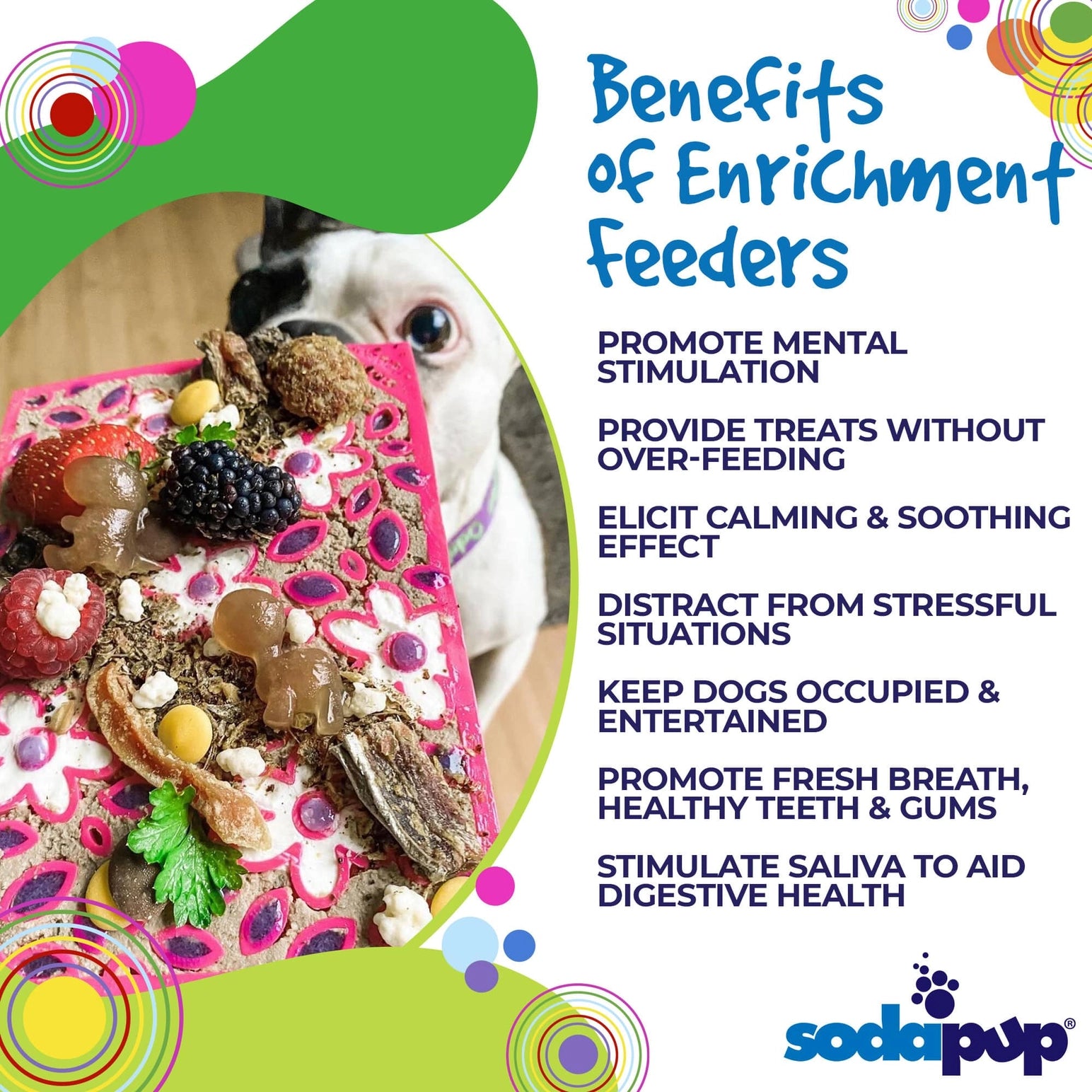 Benefits of Enrichment Feeders Promote Mental Stimulation Provide Treats Without Over-Feeding Elicit Calming & Soothing Effect Distract from Stressful Situations Keep Dogs Occupied and Entertained Promote Fresh Breath, Healthy Teeth & Gums Stimulate Saliva to Aid Digestive Health