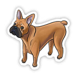 Isolated vinyl French Bulldog Fawn sticker