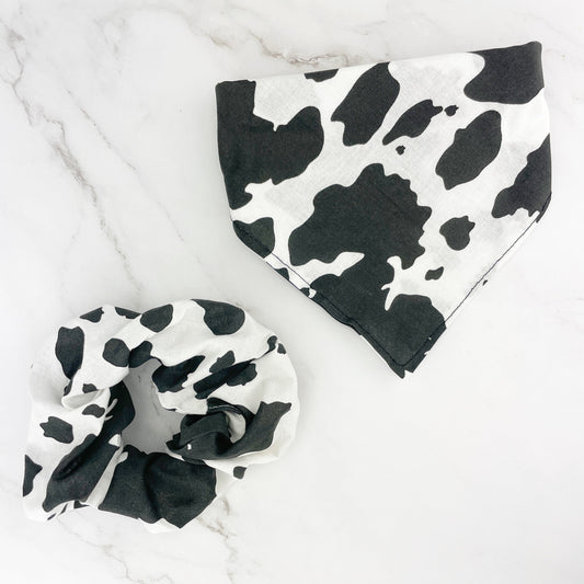 Cow print dog bandana and matching cow print scrunchy on a marble background