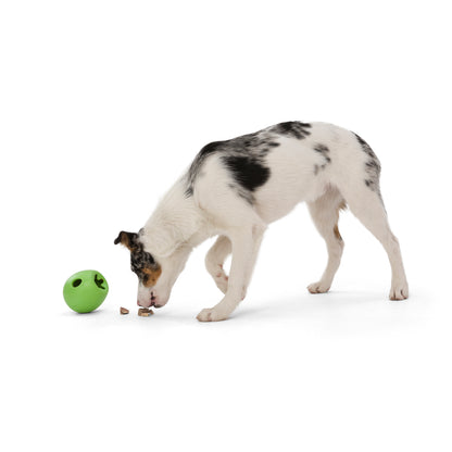 West Paw Rumbl toy in use by a dog