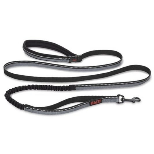 Isolated picture of a long black leash
