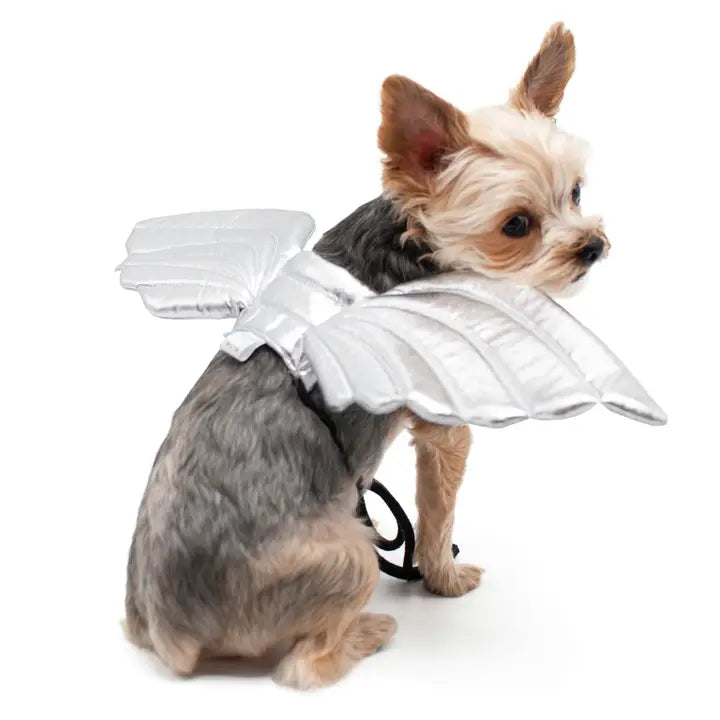 Angel Wings Dog Costume 