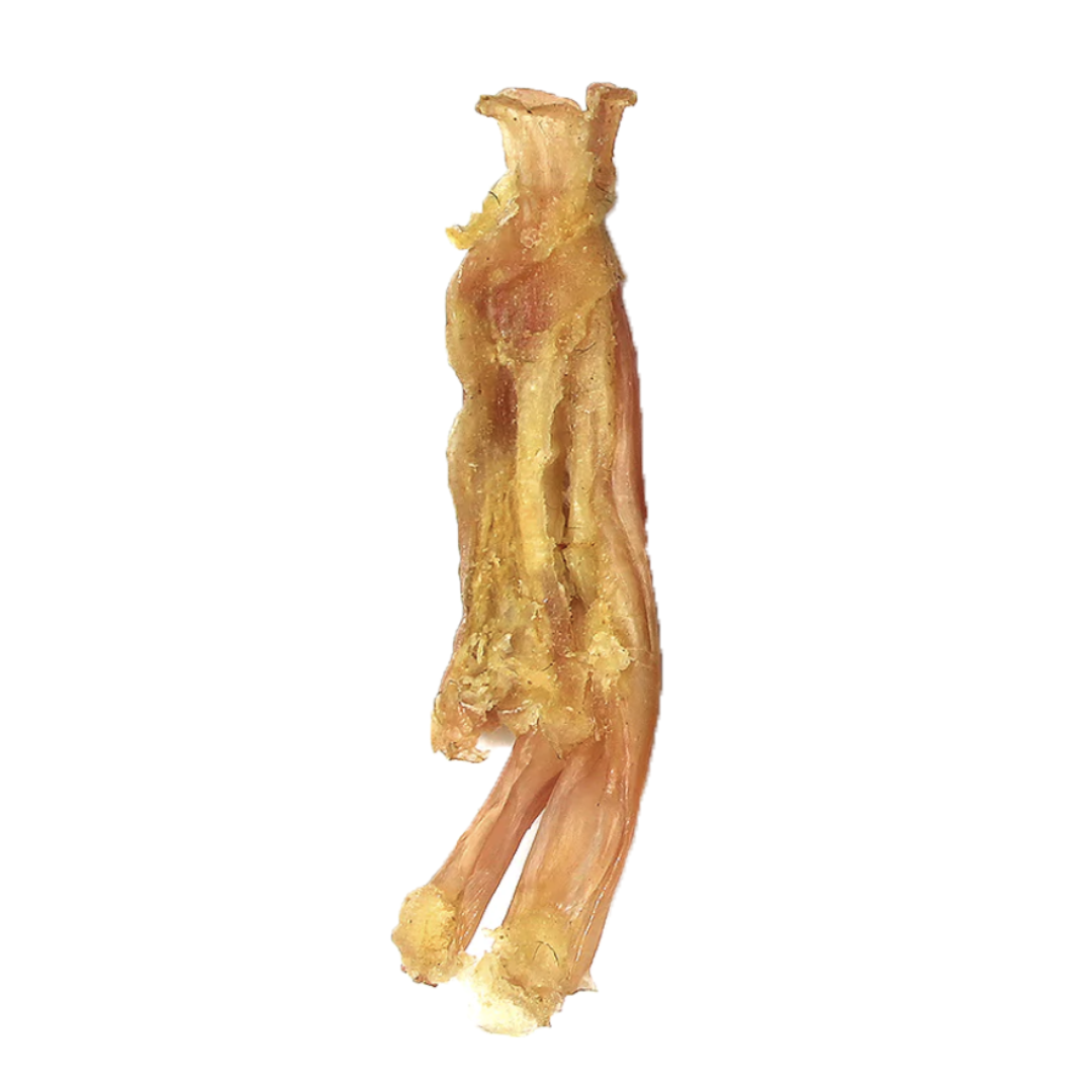 Isolated beef tendon