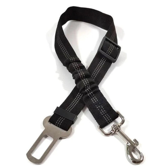 Isolated picture of a black dog seatbelt with metal hardware