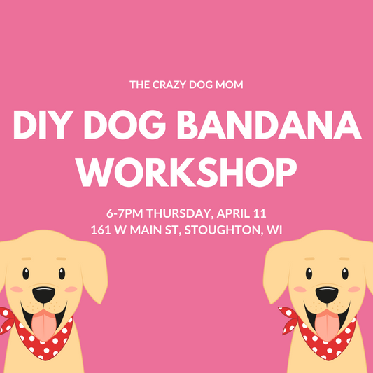DIY Dog Bandana Workshop