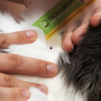 TICKCHECK tick remover card removing a tick from a dog