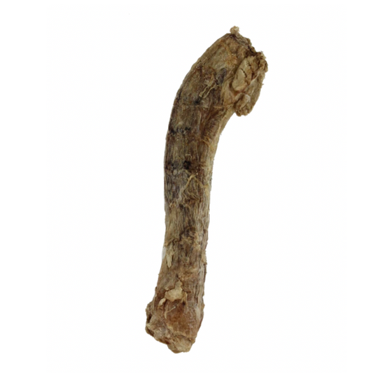 Isolated Dried Duck Neck