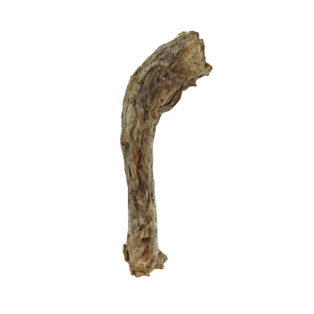 freeze dried turkey neck