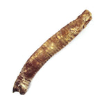 Lamb trachea