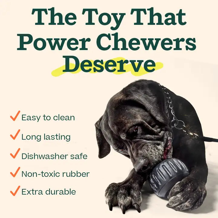 The Toy That Power Chewers Deserve - Easy to clean - Long lasting - Dishwasher safe - Non-toxic rubber - Extra durable