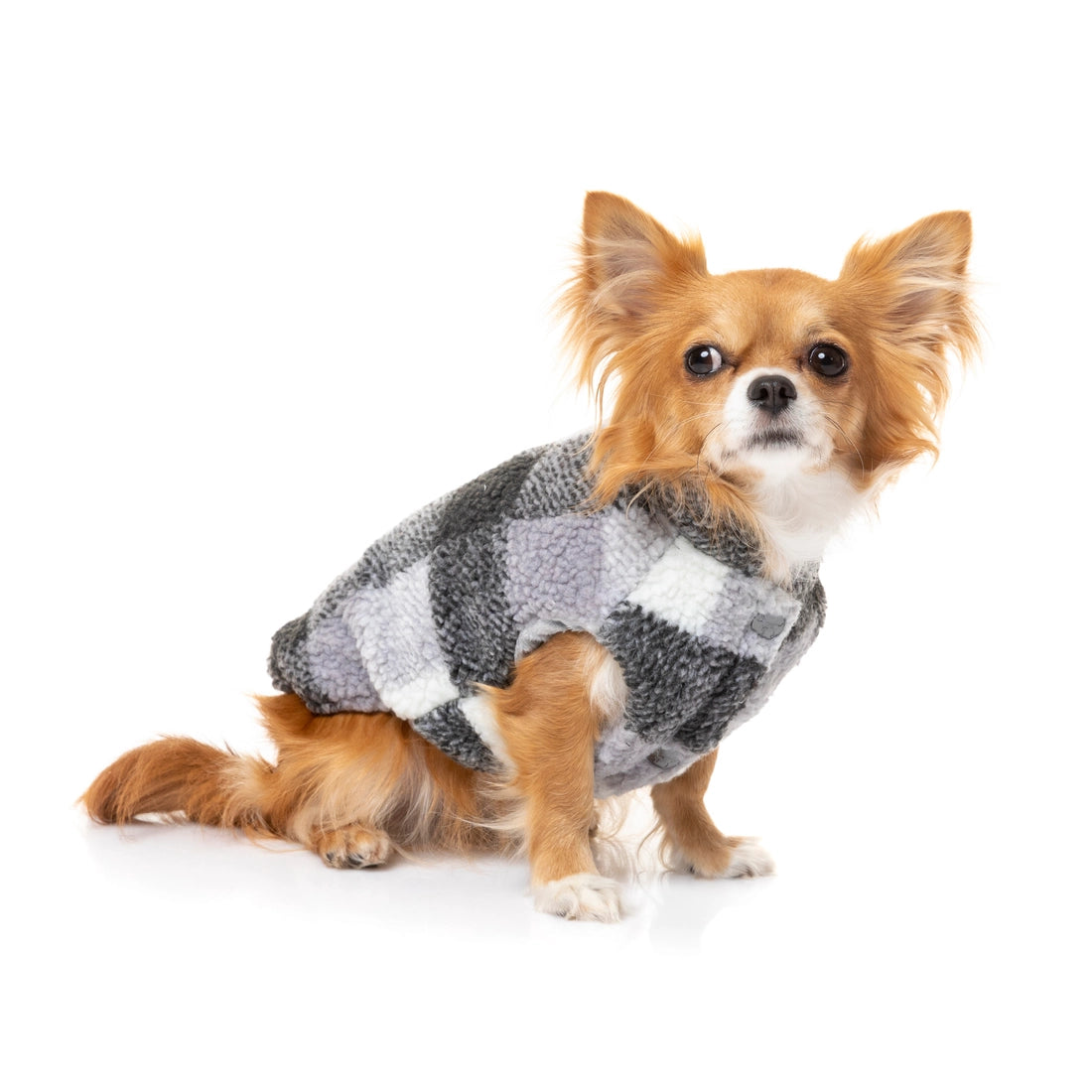 small dog modeling lumberjack vest