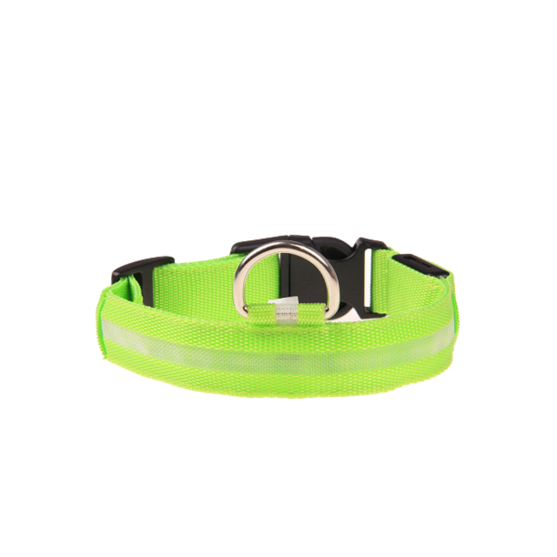 neon green LED light up dog collar