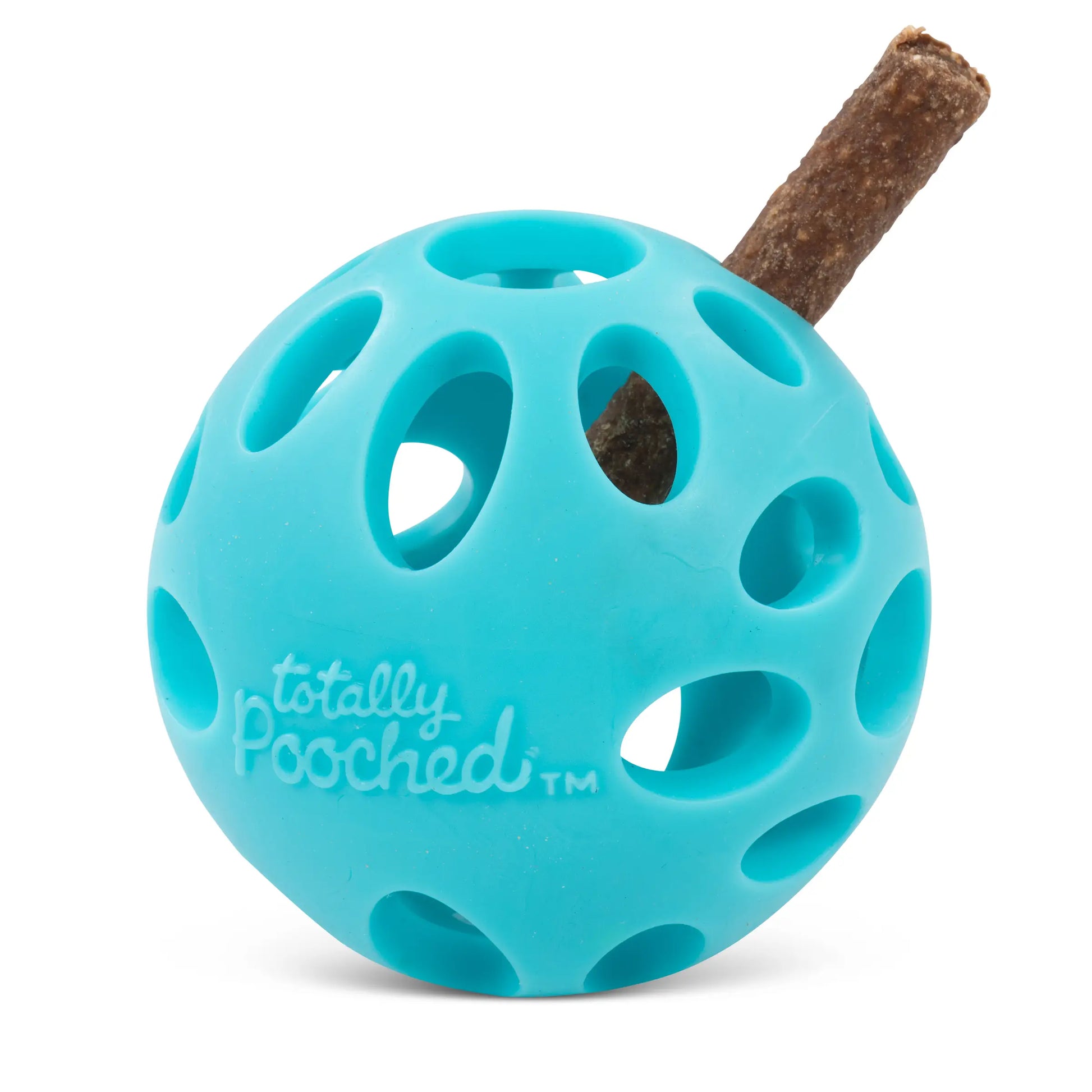 ball with holes to put treats in
