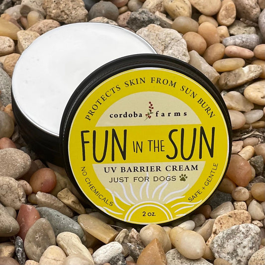 Fun in Sun Dog Sunscreen