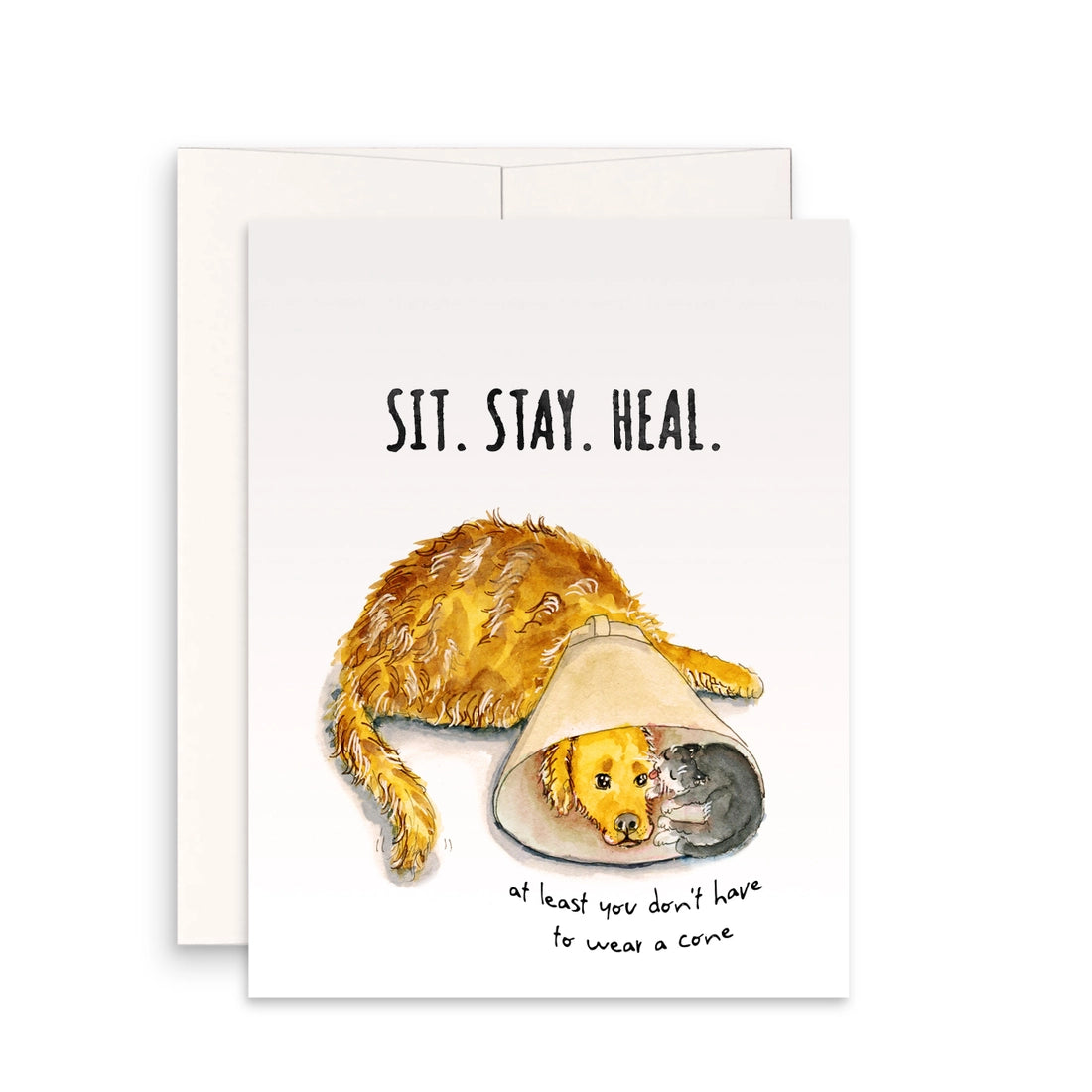 get well card that says "sit. stay. heal. at least you don't have to wear a cone" with a picture of a golden retriever wearing a cone with a cat