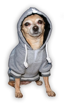 dog modeling the grey hooded sweater with green bay packers logo