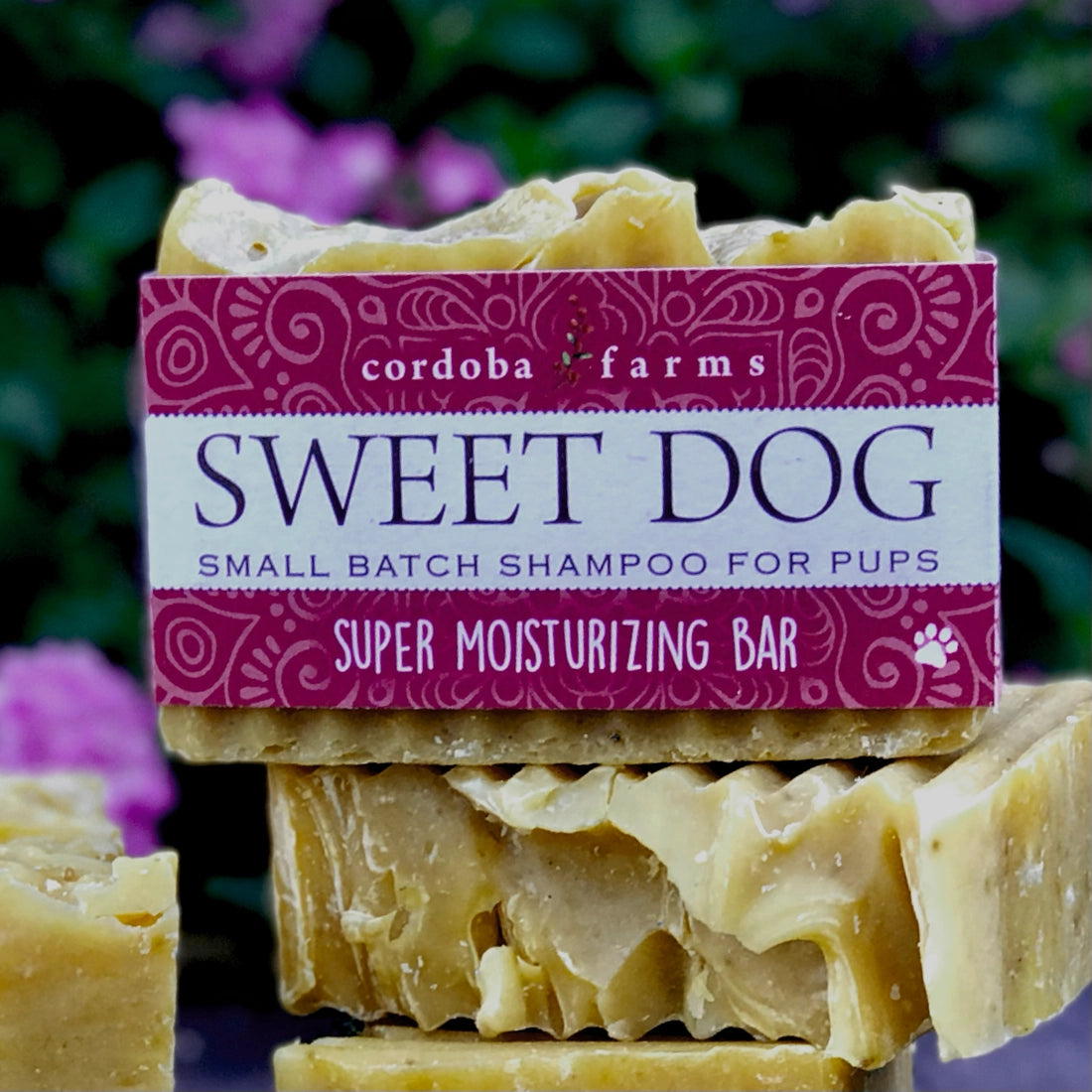 Sweet Dog Soap